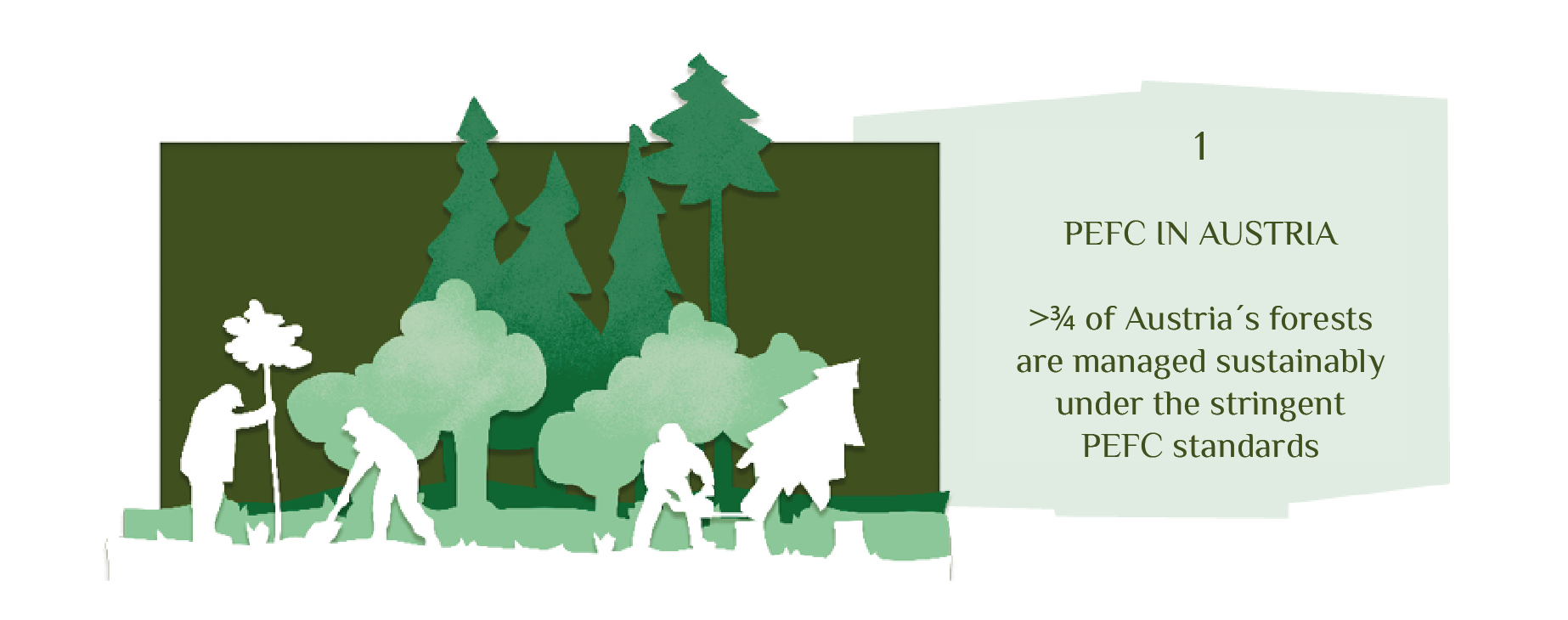 Explains the PEFC certificate