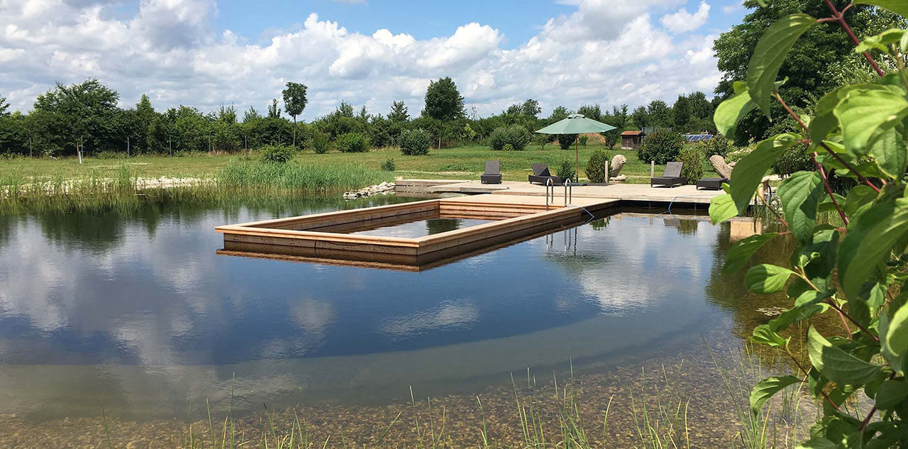 Kombinationspool von Holc Naturpools in einem Teich