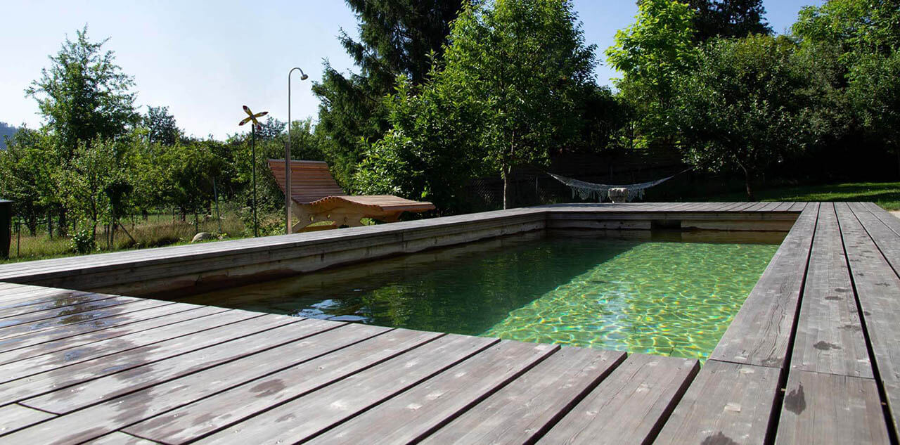 Holc Natural Pool in Garden